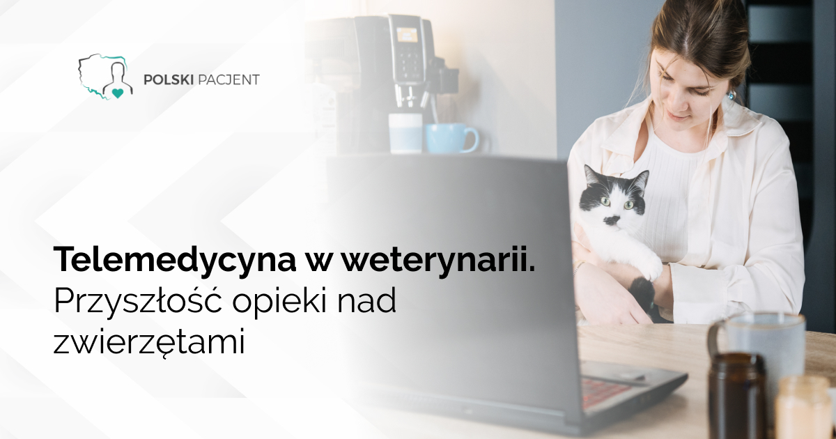 Telemedycyna w weterynarii. Przyszłość opieki nad zwierzętami